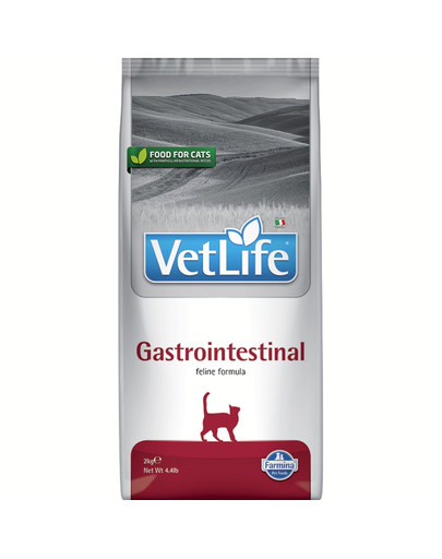 Vet life gastro-intestinal cat 400g