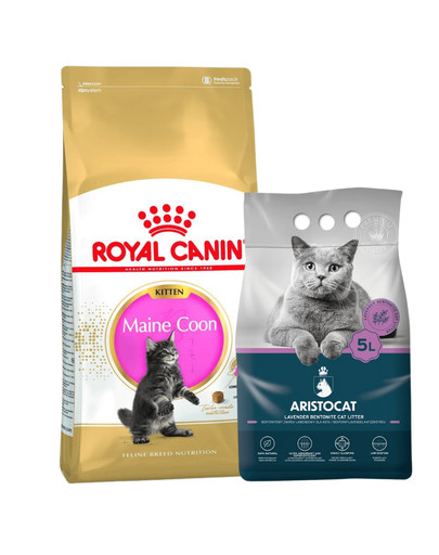 ROYAL CANIN Maine Coon Kitten 10 kg + ARISTOCAT Żwirek bentonitowy lawendowy 5 l GRATIS