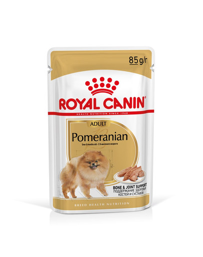 ROYAL CANIN Pomeranian Adult 24x85g karma mokra, pasztet dla psów dorosłych rasy szpic miniaturowy