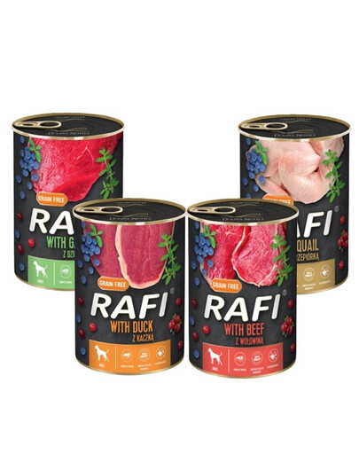 DOLINA NOTECI Rafi Premium Mix smaków 24x400g