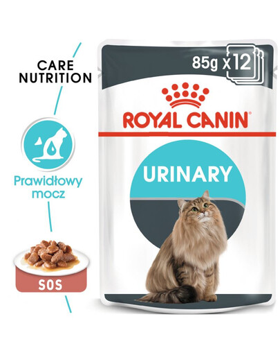 ROYAL CANIN Urinary Care 24x85 g w sosie karma mokra w sosie dla kotów dorosłych, ochrona dolnych dróg moczowych