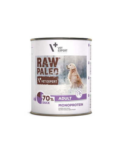 Raw Paleo Kaczka/Duck Adult Can 800g