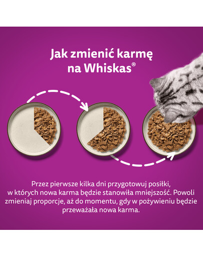 WHISKAS Adult saszetka 48x85g Kremowe Wariacje mokra karma dla dorosłych kotów w sosie z: kurczakiem i warzywami, jagnięciną i indykiem