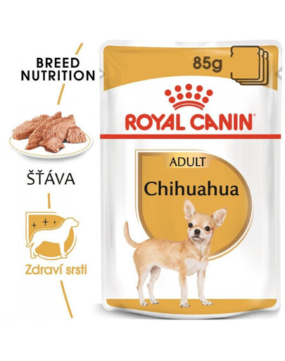 ROYAL CANIN Chihuahua Adult karma mokra - pasztet, dla psów dorosłych rasy chihuahua 48x85g