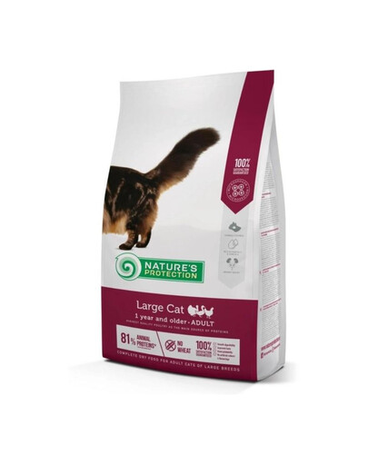 Large Cat Poultry Adult 2 kg z drobiem dla dorosłych dużych kotów