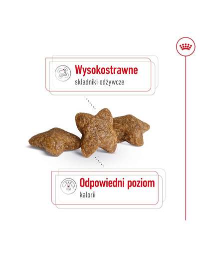 ROYAL CANIN Mini Adult 8kg karma sucha dla psów dorosłych, ras małych