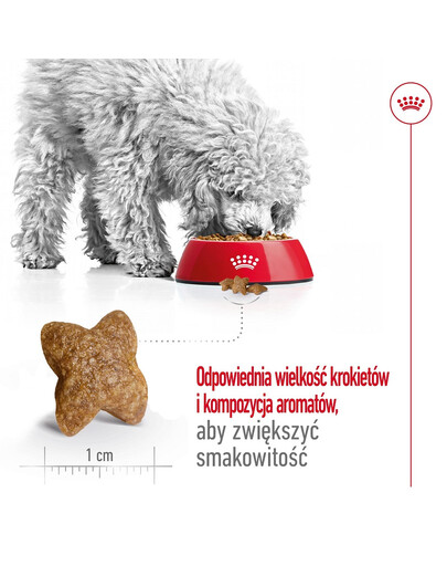 ROYAL CANIN Mini Adult 8kg karma sucha dla psów dorosłych, ras małych