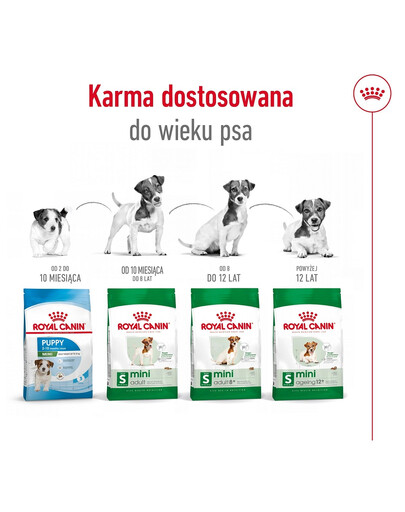 ROYAL CANIN Mini Adult 8kg karma sucha dla psów dorosłych, ras małych