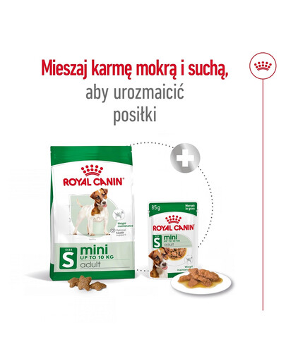 ROYAL CANIN Mini Adult 8kg karma sucha dla psów dorosłych, ras małych