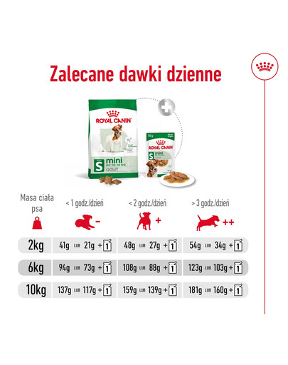 ROYAL CANIN Mini Adult 8kg karma sucha dla psów dorosłych, ras małych