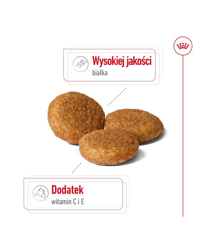 ROYAL CANIN Medium Adult 4kg karma sucha dla psów dorosłych, ras średnich