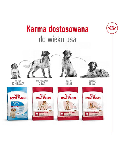 ROYAL CANIN Medium Adult 4kg karma sucha dla psów dorosłych, ras średnich