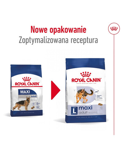 ROYAL CANIN Maxi Adult 10kg karma sucha dla psów dorosłych, do 5 roku życia, ras dużych