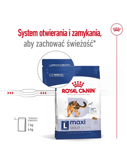 ROYAL CANIN Maxi Adult 10kg karma sucha dla psów dorosłych, do 5 roku życia, ras dużych