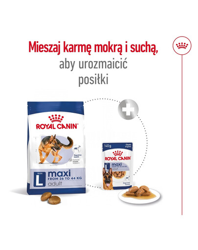 ROYAL CANIN Maxi Adult 10kg karma sucha dla psów dorosłych, do 5 roku życia, ras dużych