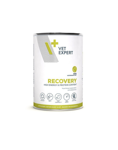 Veterinary Diet Dog Recovery 400 g