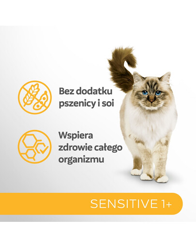 PERFECT FIT Sensitive 1+ saszetki 12x85 g z kurczakiem w sosie dla dorosłych kotów