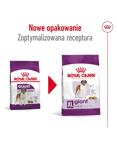 Royal Canin Giant Adult 15kg - karma dla dorosłych psów ras olbrzymich 15kg