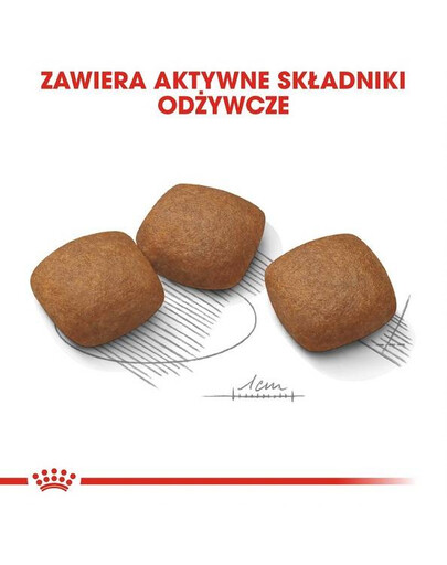 Royal Canin Joint Care Maxi 10 kg - sucha karma dla psów dorosłych, ras dużych, wspomagająca pracę stawów 10kg