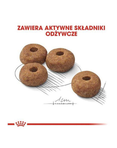 ROYAL CANIN Medium Sterilised 12kg - sucha karma dla dorosłych psów, średnich ras, po kastracji 12 kg