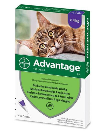 BAYER ADVANTAGE KOT roztwór na pchły 0,8ml x 4 kot powyżej 4kg