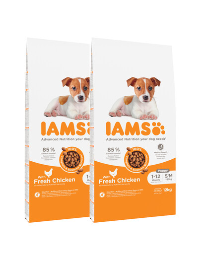 IAMS ProActive Health Puppy & Junior Small & Medium Breed Chicken 24 kg (2 x 12 kg)- sucha karma dla szczeniąt ras małych i średnich