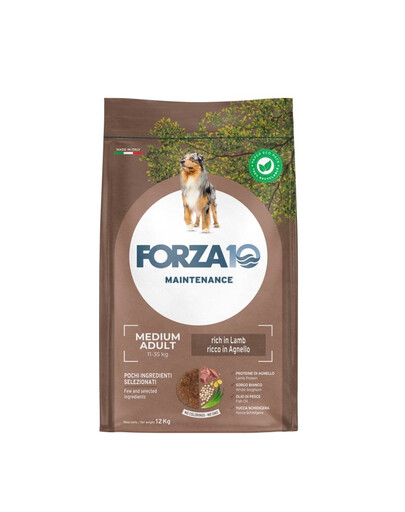 FORZA10 Medium Adult Maintenance Lamb Rice 12 kg sucha karma dla psów średnich ras