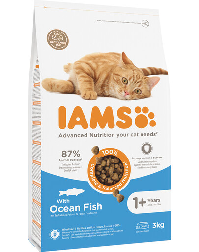 IAMS Cat Adult All Breeds Ocean Fish 3 kg - sucha karma dla kotów