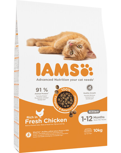 IAMS Cat Kitten & Junior All Breeds Chicken 10 kg - sucha karma dla kociąt