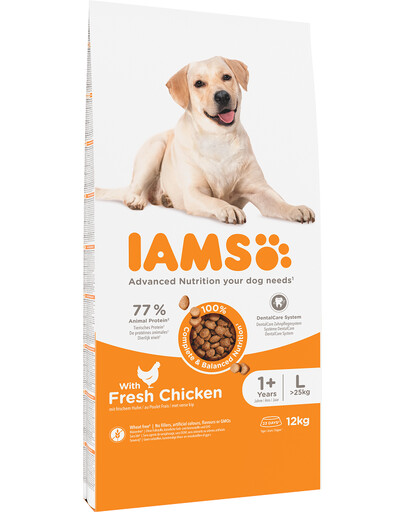 IAMS ProActive Health Adult Large Breed Chicken 12 kg - sucha karma dla dorosłych psów ras dużych L