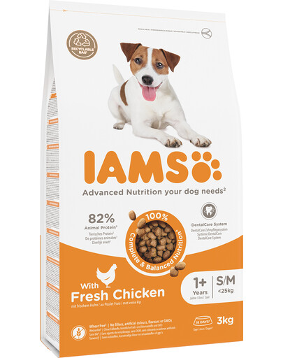 IAMS ProActive Health Adult Small & Medium Breed Chicken 3 kg- sucha karma dla dorosłych psów ras małych i średnich