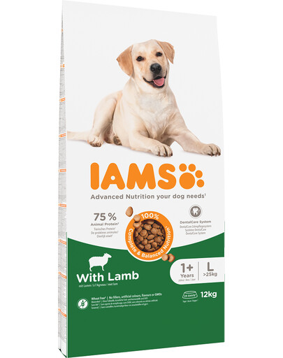 IAMS For Vitality Adult Large Breed Lamb, 12 kg - sucha karma dla dorosłych psów, ras dużych, 12 kg