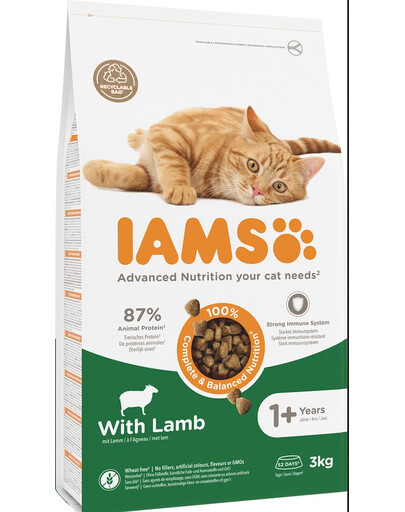 IAMS Cat Adult All Breeds Lamb 3 kg - sucha karma dla kotów