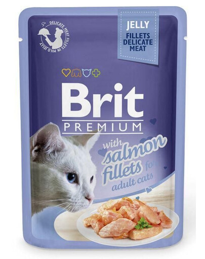 Premium Cat  Fillets in Jelly mokra karma z łososiem dla kotów 24x85 g