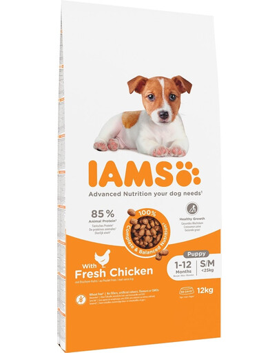 IAMS Advanced Nutrition Puppy Junior Small Medium with fresh Chicken karma dla szczeniąt Kurczak 12kg