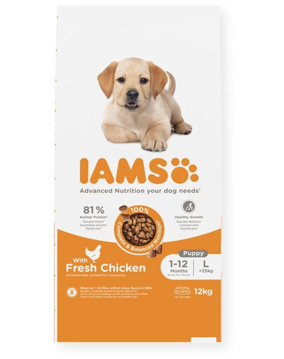 IAMS Advanced Nutrition Puppy Junior Large Breed Chicken 12 kg dla szczeniąt z kurczakiem