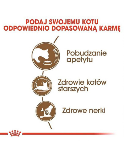 Royal Canin Senior Ageing 12+ 2 kg- sucha karma dla starszych kotów powyżej 12 roku życia 2kg