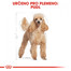 Poodle Adult 7,5 kg