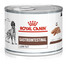 Royal Canin Dog Gastro Intestinal Low Fat Canine 12x200 g - mokra karma dla psów o obniżonej zawartości tłuszczu i z zaburzeniami żołądkowo jelitowymi