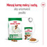 ROYAL CANIN Mini Adult 2kg karma sucha dla psów dorosłych, ras małych