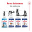 ROYAL CANIN Maxi Adult 10kg karma sucha dla psów dorosłych, do 5 roku życia, ras dużych