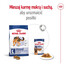 ROYAL CANIN Maxi Adult 4kg karma sucha dla psów dorosłych, do 5 roku życia, ras dużych