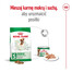 ROYAL CANIN Mini Adult 800g karma sucha dla psów dorosłych, ras małych