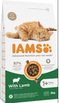 IAMS Cat Adult All Breeds Lamb 3 kg - sucha karma dla kotów