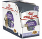 ROYAL CANIN Appetite Control Jelly, 12x85g - Mokra karma dla kotów z nadmiernym apetytem, 12x85g