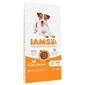 IAMS ProActive Health Adult Small & Medium Breed Chicken 12 kg-sucha akrma dla psów małych i średnich